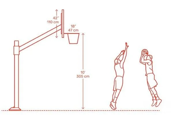 篮球架尺寸和高度图解（让你在选购和安装时少走弯路）