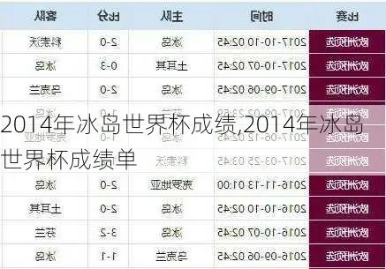 冰岛14年世界杯第几 冰岛在2014年世界杯的成绩-第3张图片-www.211178.com_果博福布斯