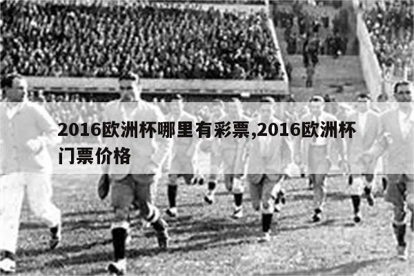 2016欧洲杯门票图片 2016欧洲杯门票图片大全-第3张图片-www.211178.com_果博福布斯