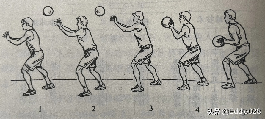 篮球基础训练动作详解（从零开始打造强壮身体和敏捷方法）-第2张图片-www.211178.com_果博福布斯
