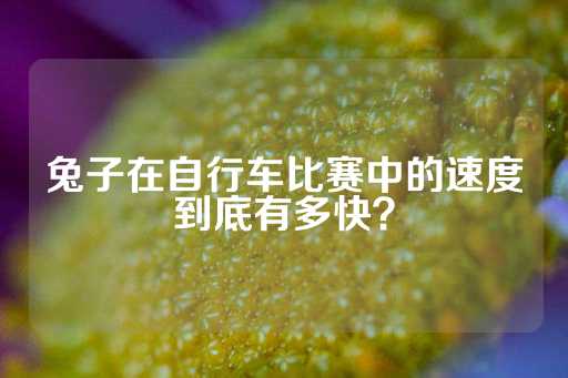 兔子在自行车比赛中的速度到底有多快？