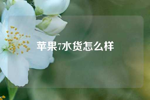 苹果7水货怎么样